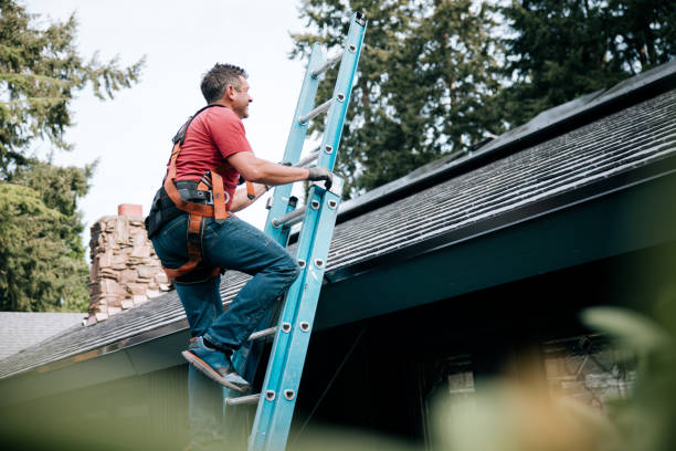 Professional Roofing Services in Virginia Beach, VA